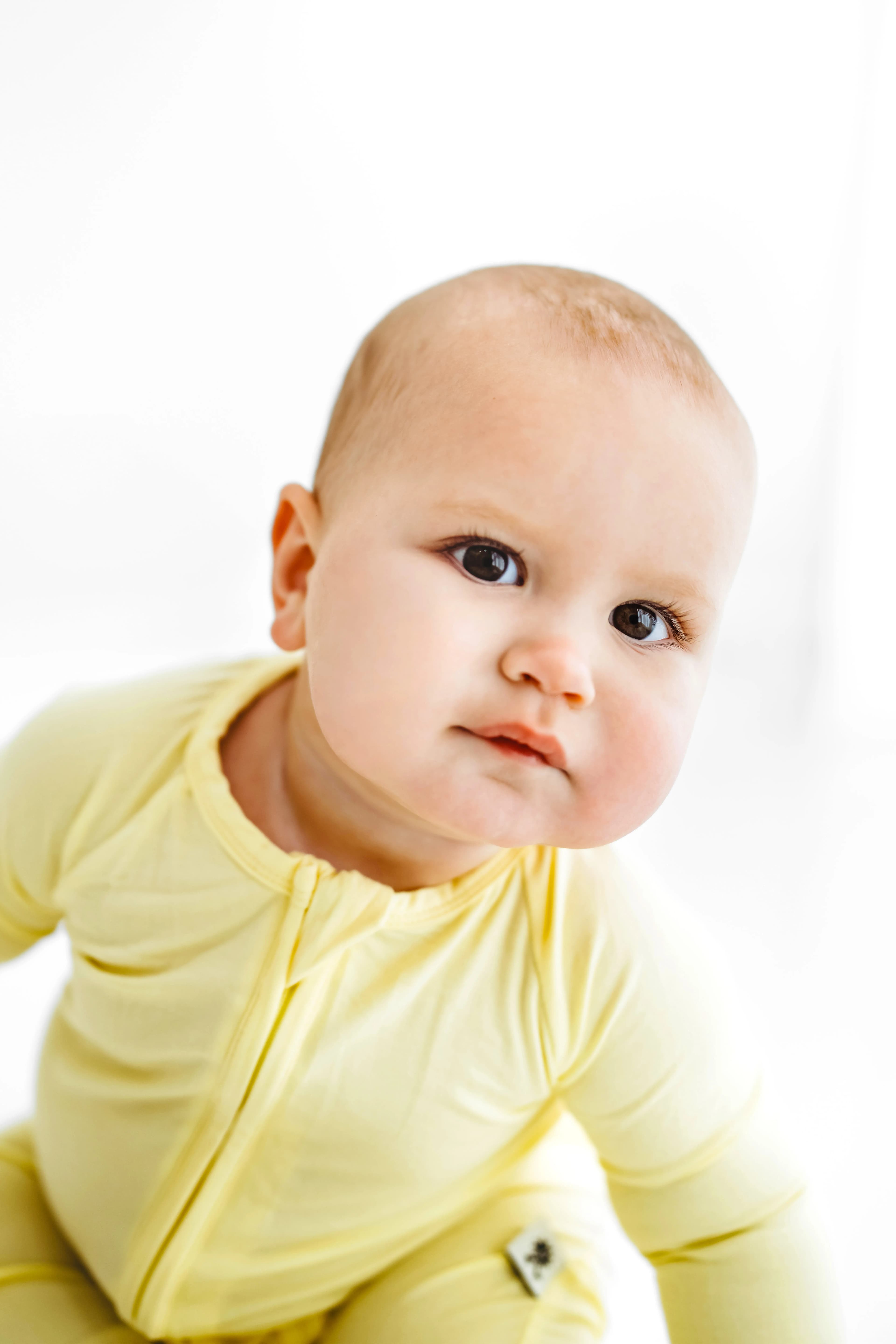 Sunshine Sprout Zippy - Thumbnail 3